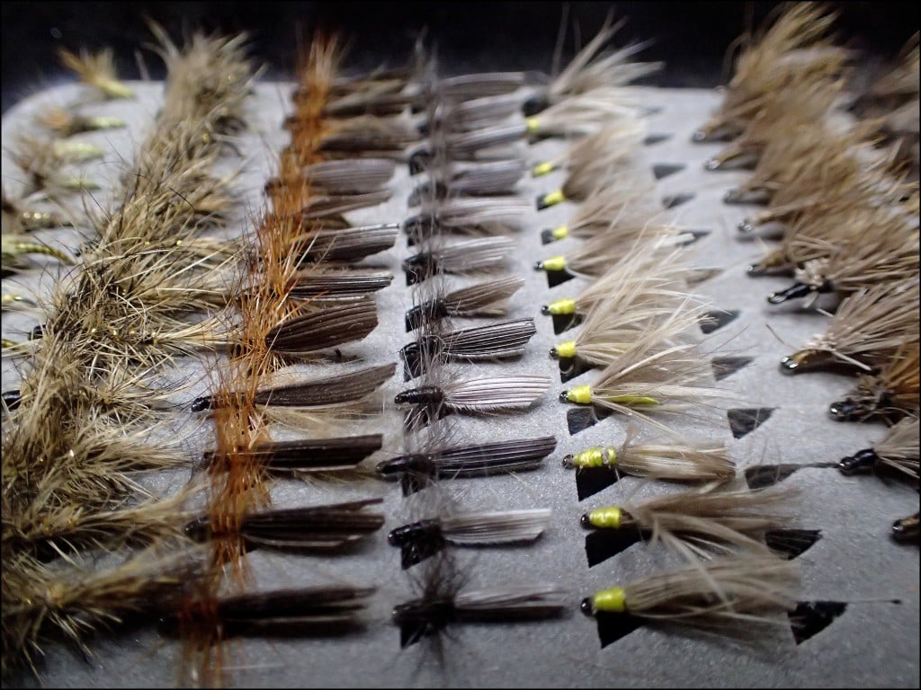 Sedges et Peutes.
