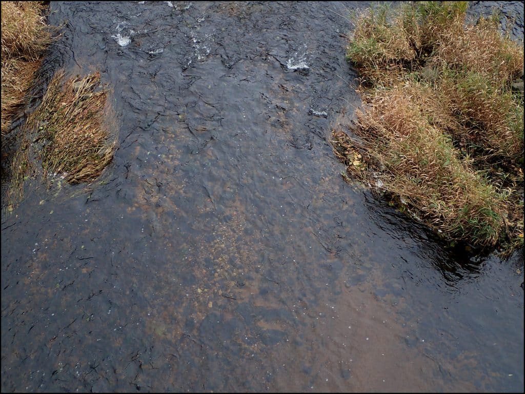 Zone de frayère sur la Sioule.