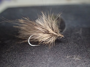 sedge