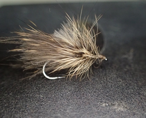 Sedge